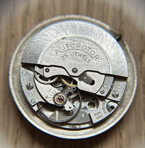 Provita puw 1261 automatic - provita,