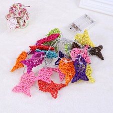 2,5-Meter-LED bunten Fisch