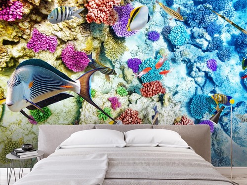 Blau koralle fisch q5431 - koralle,