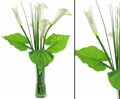Calla blumen set - blumen, glas,