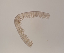 Lash Haare Wimpern Natürlich