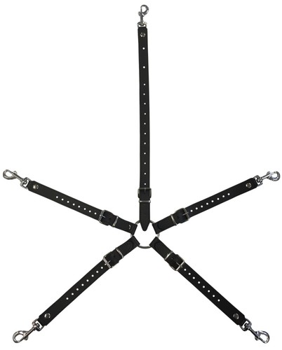 Bdsm bondage leder hogtied - bdsm,