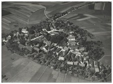 ZZ-5646/ Lichtentanne  Foto