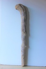 Treibholz Schwemmholz