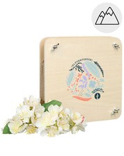 Weltbild Blütenpresse FLORA 22-teilig aus Holz – Perfekt für Trockenblumen - Neu