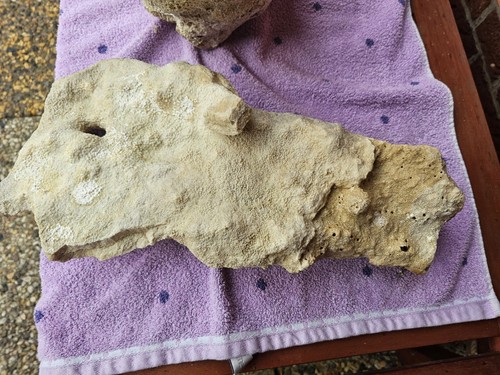 Riffgestein meerwasser - riffgestein,