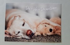 Heye Athesia Verlag AK mit Spruch Hund Labrador  Stofftier 