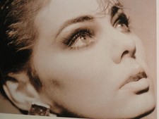 SANDRA   -   MIRRORS !! ( LP )