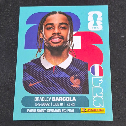 Panini fifa world cup - fifa, 2026