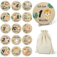 AVCXEC 30 Meilensteinkarten