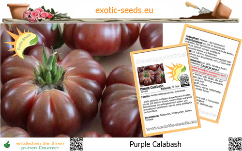 Tomate purple calabash - 🍅,