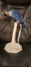 Hutschenreuther Vogel Papagei