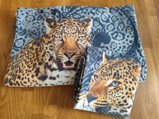 Wild Animals  Leopard