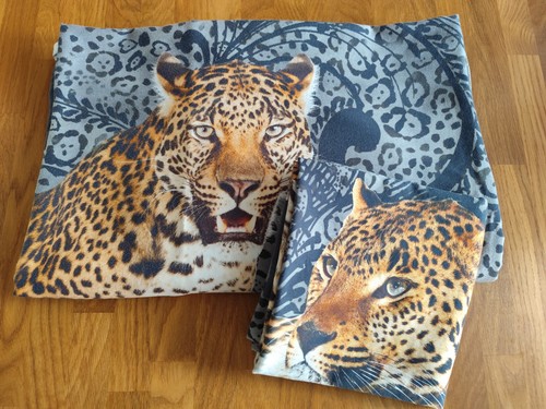 Wild animals leopard - animals,