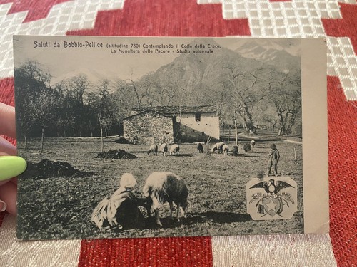 Postkarte gruß von - gruß, bobbio