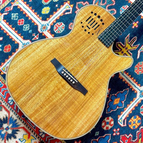 Godin multiac steel - godin,
