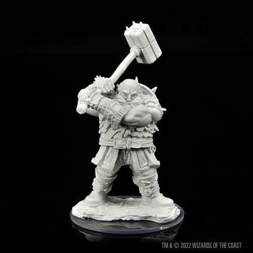 Dungeons dragons d nolzurs - dungeons, d&d
