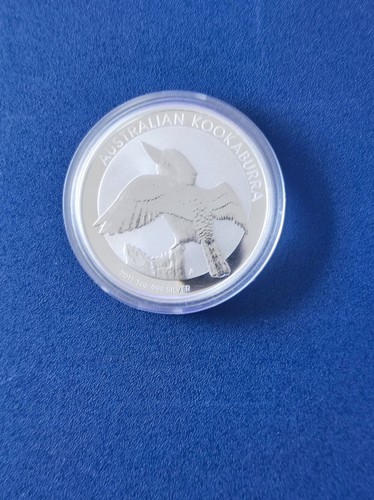 Kookaburra 2011 - 1, oz