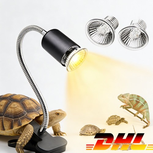Schildkröten wärmelampe - schildkröten,