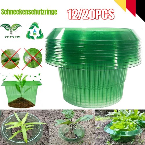 20x schneckenkragen - 10/20x,