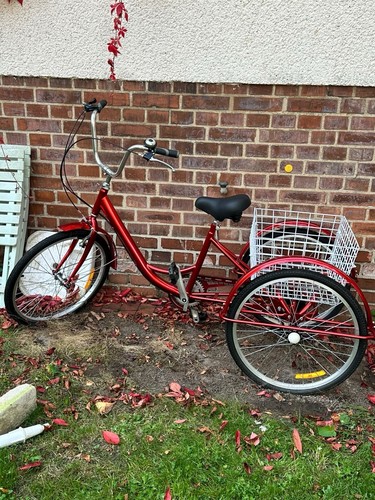 Unbenutztes damenfahrrad - unbenutztes,