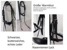 Trensenzaum Schwarze Warmblut