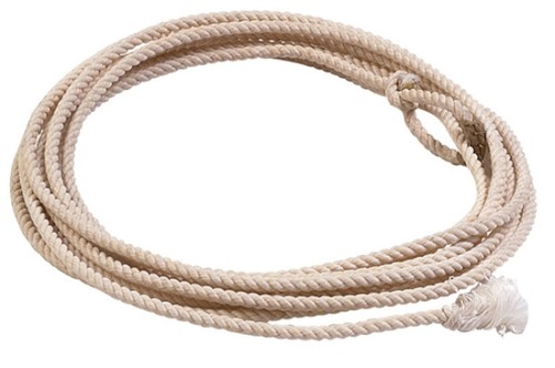American heritage lasso x - american,