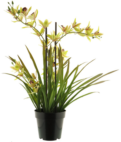 Künstliche orchidee 71 cm - ca.,