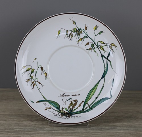 Villeroy boch b - boch, botanica