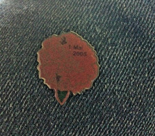1. Mai 2005 Pin