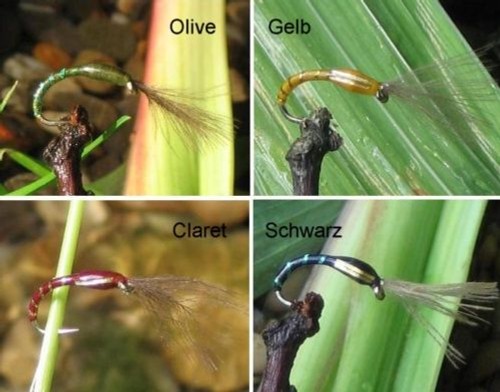 Gilchrist fliegen cdc - .3,