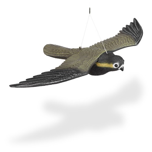 Raubvogel attrappe vogelabwehr - raubvogel,