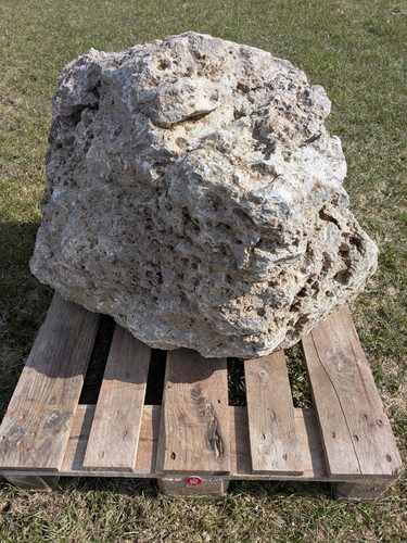 Muschelkalk felsen lbh 81 - felsen, ca.