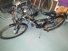 Pegasus Avanti MTB Plus 26