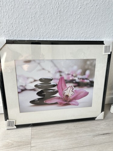 Neues orchideen bild mit - bild,