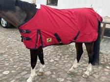 Felix Bühler Regendecke Pony