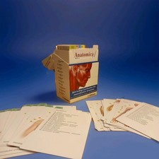 Anatomica Lernkarten Körper