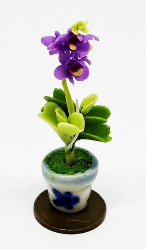 Puppenhaus mauve orchidee - puppenhaus, im