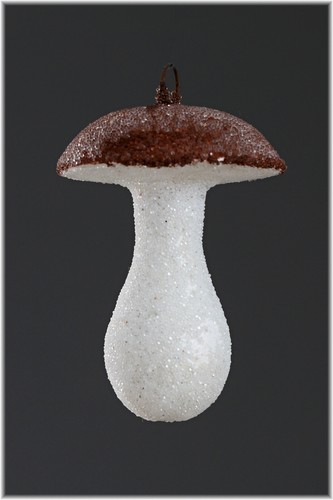 Alte watte edelpilz - 1,