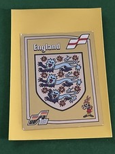 Berni #158 Panini Sticker EM