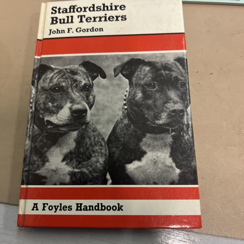 Staffordshire bull terriers - staffordshire,