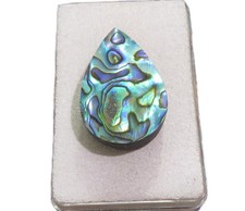 Paua Muschel Abalone Cabochon