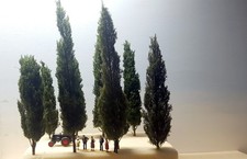 Zypressen Handarbeitsmodelle in HO, 8 Stück aus Anlagenrückbau