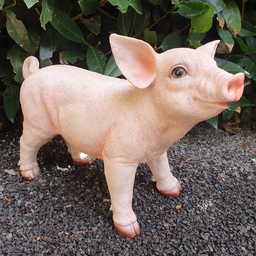 Gartenfigur schweine figur - figur, 23