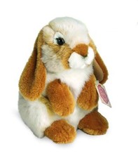 Ingwer Sitzender Hase Von