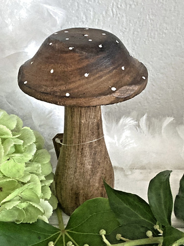 Großer pilz fliegenpilz - fliegenpilz, mango