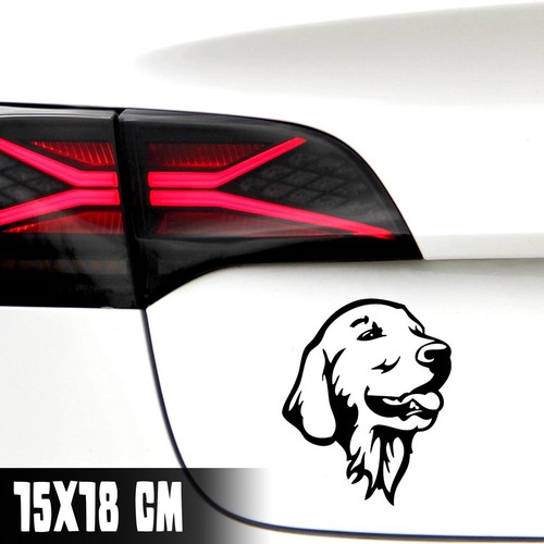 Aufkleber golden retriever - aufkleber, retriever"