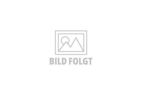 Zahnrad groß 869569 - , |