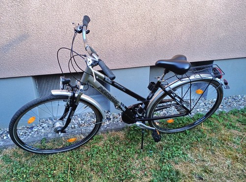 Pegasus damenfahrrad zoll - pegasus,