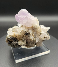 Amethyst Stufe auf Matrix, Zillergrund, Zillertal